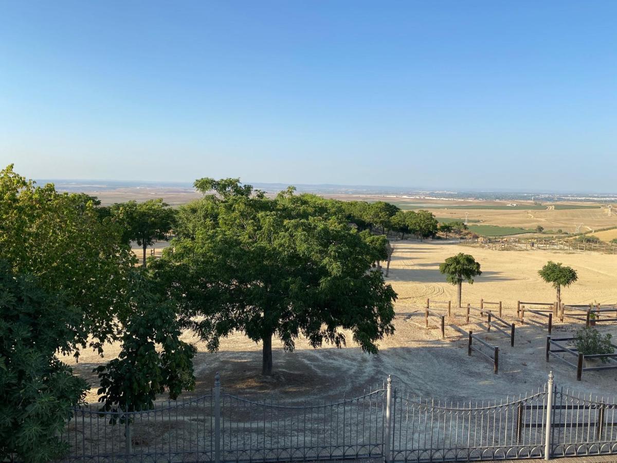 Sevilla Saltera Casa Rural Cerca Centro De Sevilla Familiar - Trabajo - Wifi Salteras Eksteriør bilde