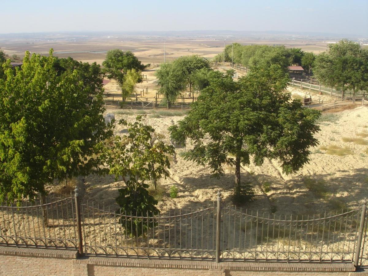 Sevilla Saltera Casa Rural Cerca Centro De Sevilla Familiar - Trabajo - Wifi Salteras Eksteriør bilde